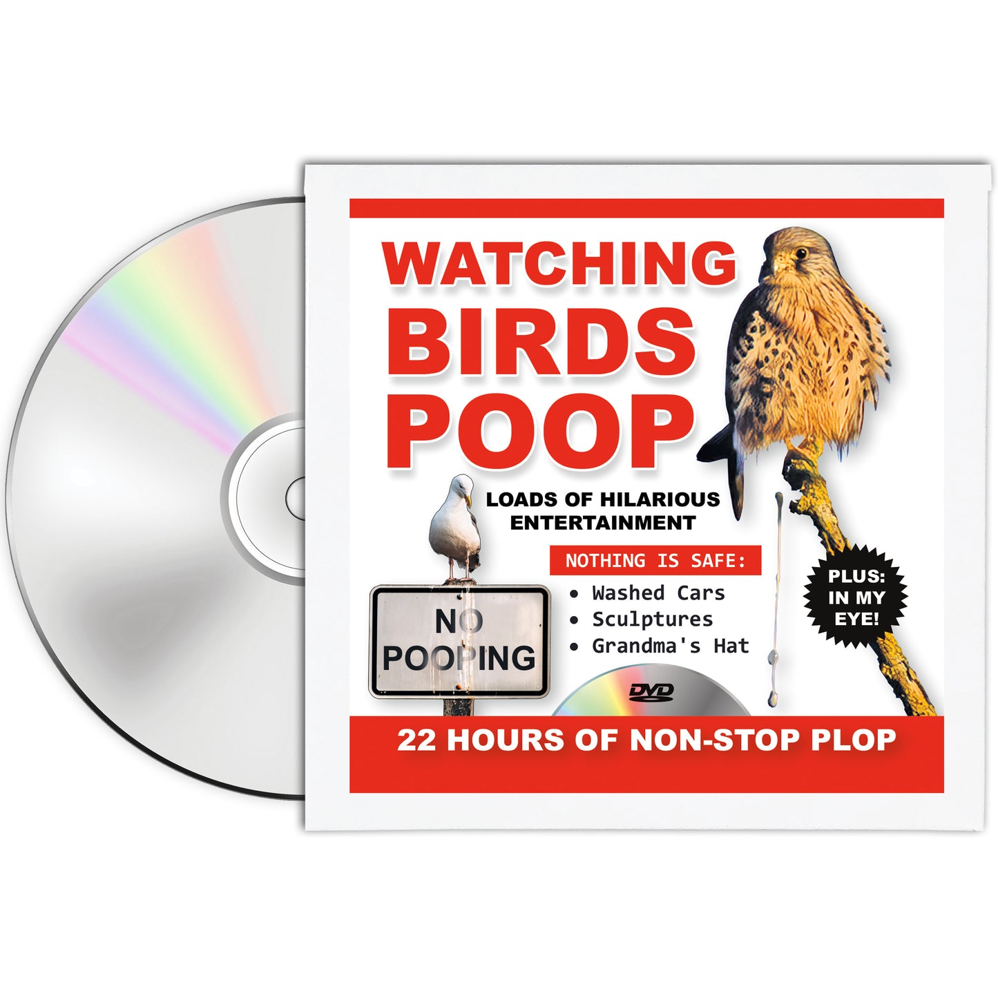 Watching Birds Poop Fake DVD Gag Gift