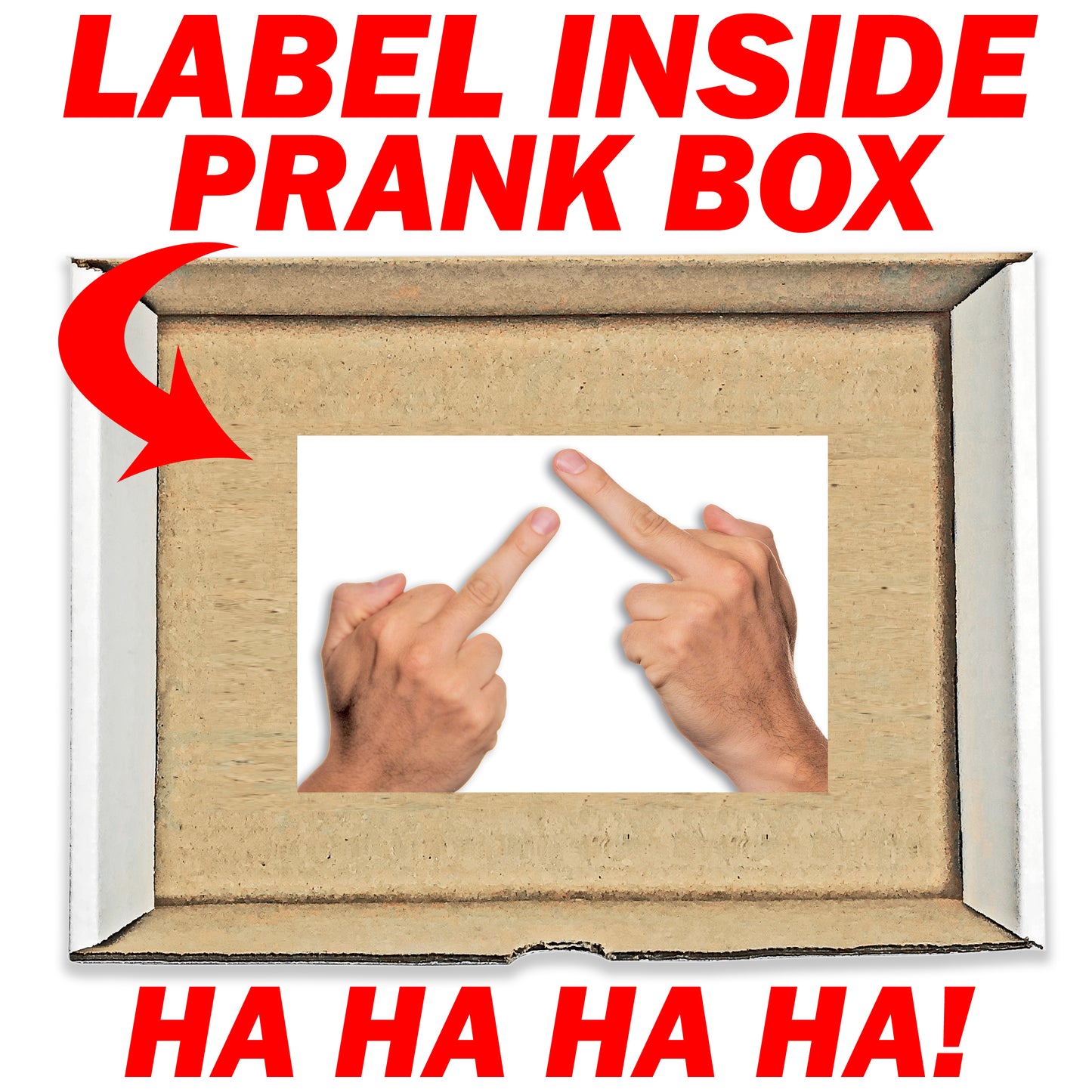 Double Middle Finger Surprise embarrassing prank box gets mailed directly to your victims 100% anonymously!