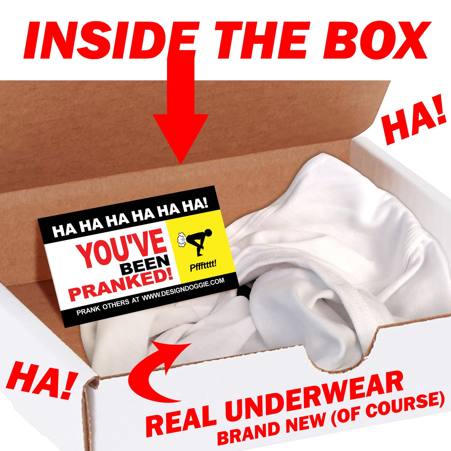 You Left Your Underwear at my House Embarrassing Mail Prank