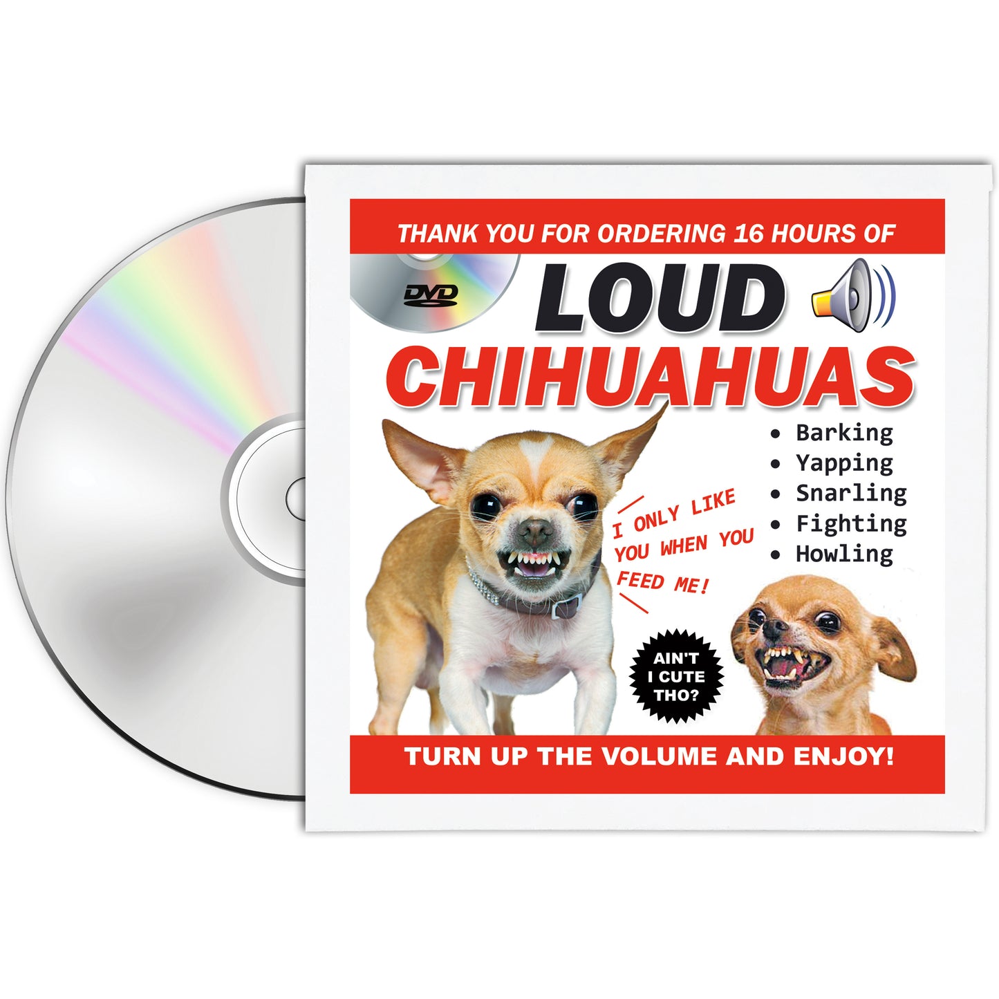 Loud Chihuahuas Funny Gifts
