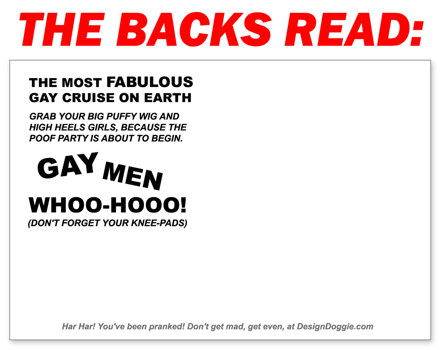 4 Pack Prank Gay Cruise Postcards
