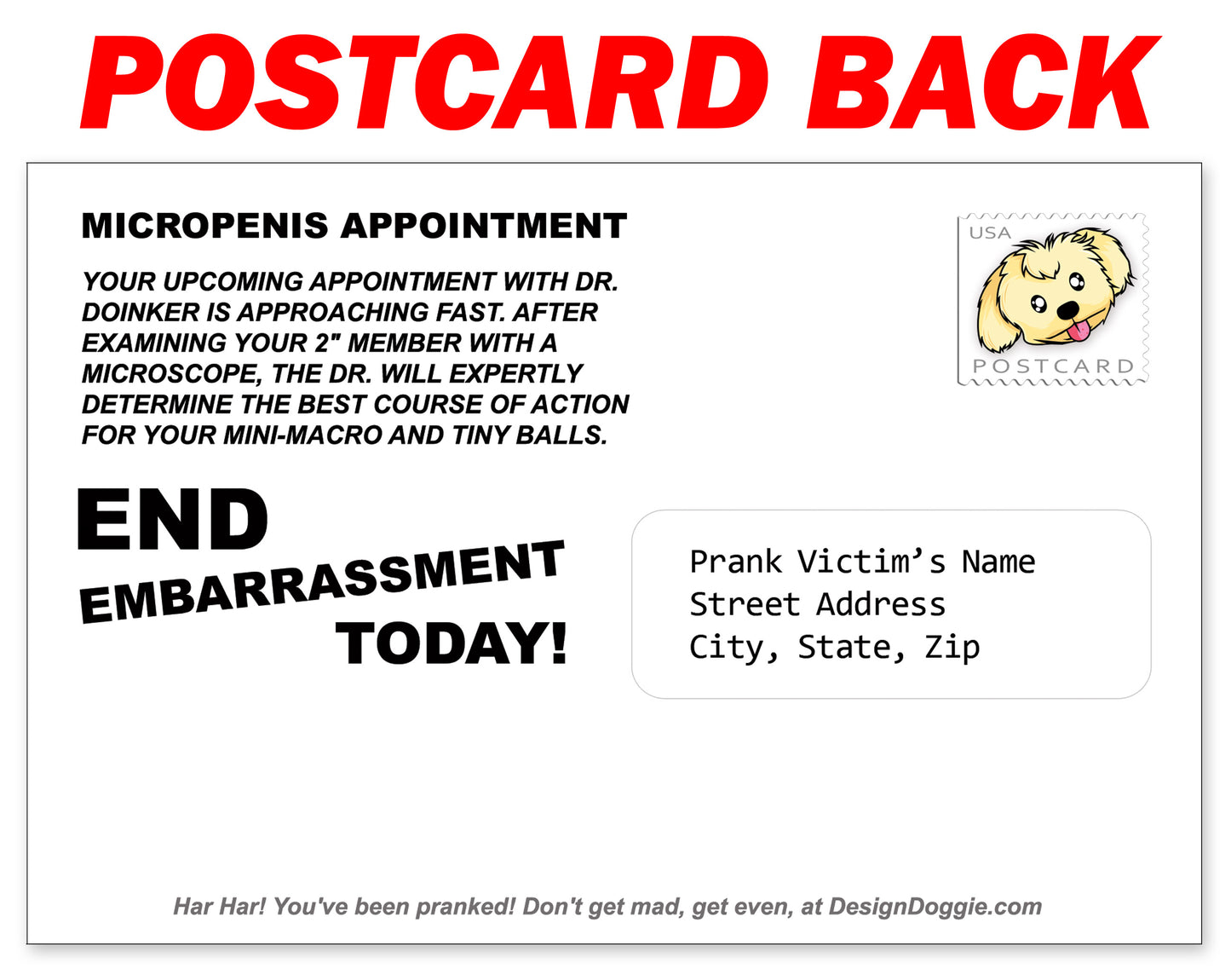 Micropenis Funny Prank Postcard