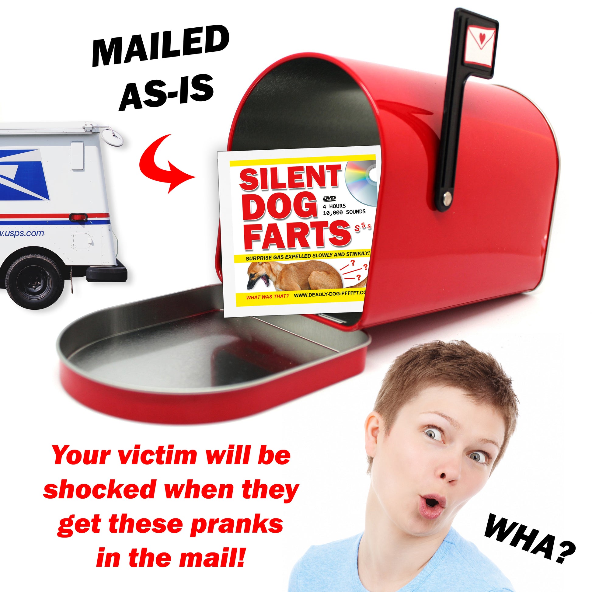 Silent Dog Farts Gag Gift Mailer
