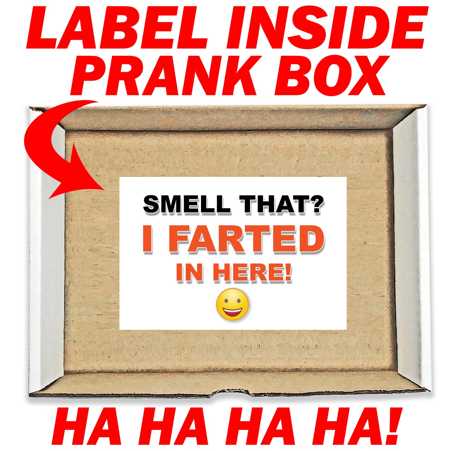 Smell That? I Farted In Here Surprise embarrassing prank box gets mailed directly to your victims 100% anonymously!