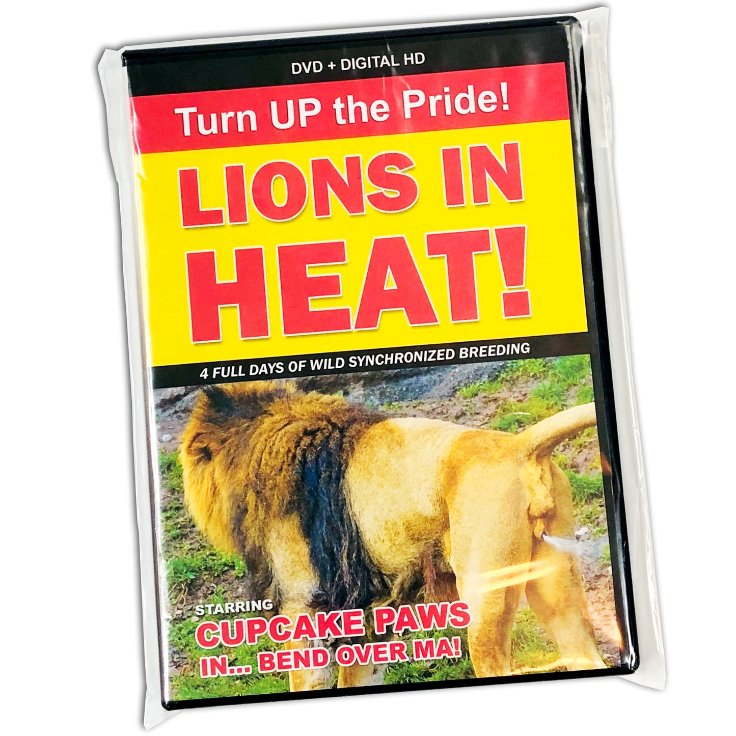 Lions in Heat Fake DVD mail prank